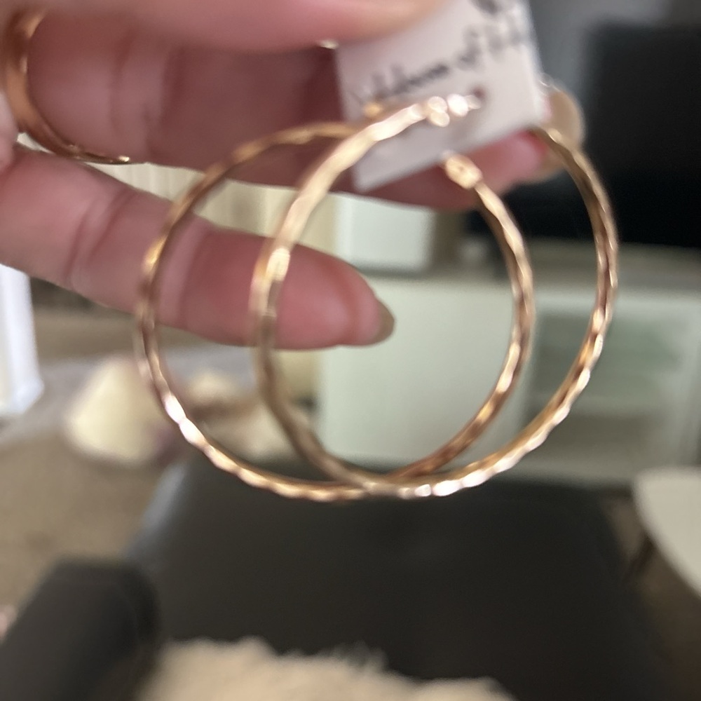 Otherwild Elegant Gold Hoop Earrings
